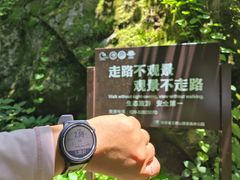 -王顺山国家森林公园