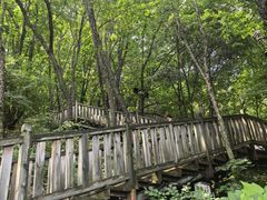 -帽儿山国家森林公园