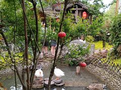 -青城甲(青城山店)