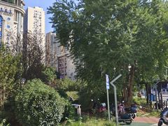 -长沙市青少年宫