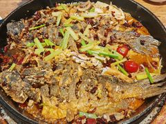 -老板恋上鱼(恒隆广场店)