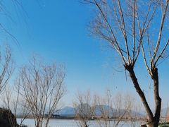 -青龙湖公园