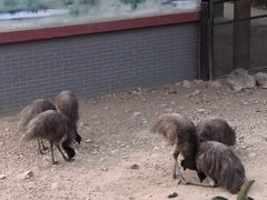 -无锡动物园·太湖欢乐园