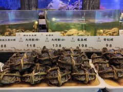 -珍宝轩海鲜火锅(碧湖大厦店)