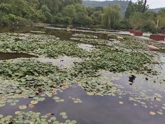 -白马涧龙池景区