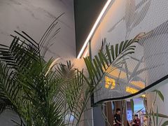 -烹然四季椰子鸡火锅(姚家园万象汇店)