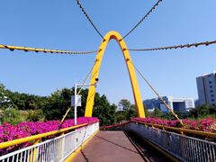 -玉树公园
