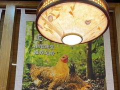 -云海肴汽锅鸡·云南小炒(天津国金汇店)