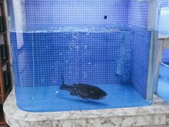 -香山湖渔家大院