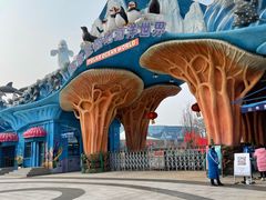 -石家庄极地海洋世界