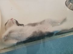 -乐宠宠物店(世纪金源店)