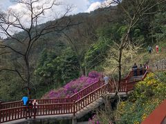 -广州市石门国家森林公园