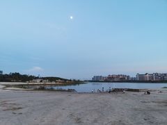 -九龙湖公园