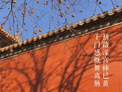 -故宫博物院(故宫)