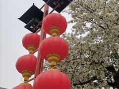 -大慈恩寺(大雁塔)