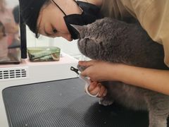 -爱洗澡的猫(天河路店)