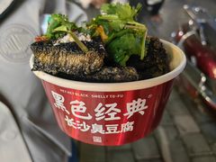 -黑色经典臭豆腐·湖南特产(坡子街店)