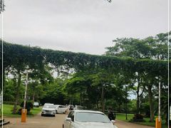 -海南热带野生动植物园