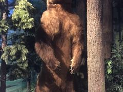 -陕西自然博物馆