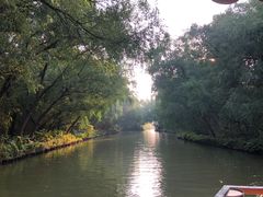 -大湾区中央湿地公园