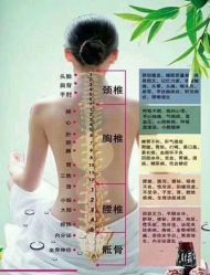 -香薇妮丝女子减肥院