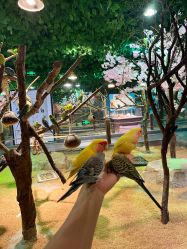 -酷嗒动物文化乐园(cutezoo西溪乐天城店)