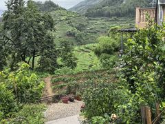 -杨家堂村