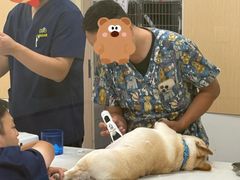-康成宠物医院24H·CT·核磁共振