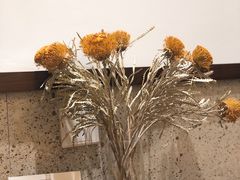 -肥朵食堂(带梦胡同店)