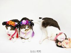 -老大昌(淮海中路店)