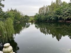 -东平国家森林公园