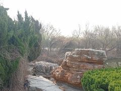 -大港湿地公园