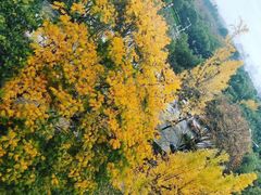 -浙江万里学院(钱湖校区)