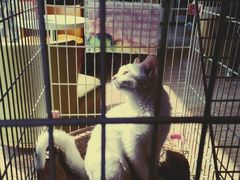 -熊猫邮局(少城店)
