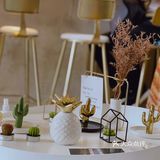 我邻桌的两个姑娘,拿着相机不停地拍拍拍拍拍,拍对方