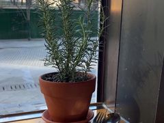 -安妮意大利餐厅(世贸天阶店)
