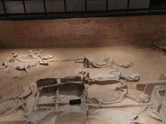 -洛阳周王城天子驾六博物馆