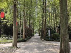 -上海怡沁园度假酒店