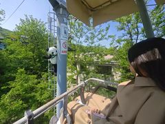 -富斯特索道