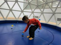 -中国宋庆龄青少年科技文化交流中心