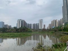 -中澳友谊花园