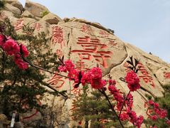 -崂山仰口游览区