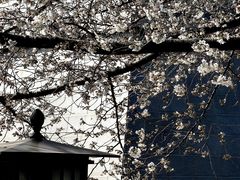 -唐城墙遗址公园