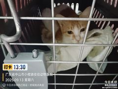 -佳佳动物医院
