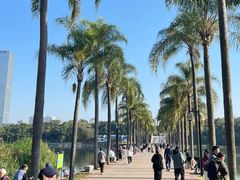 -南宁南湖公园