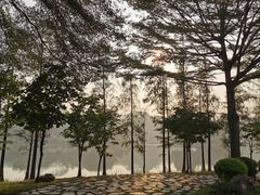 -东莞植物园