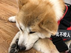 -YCHL Studios健身工作室(市二宫店)