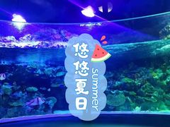 -海合安成都极地海洋公园