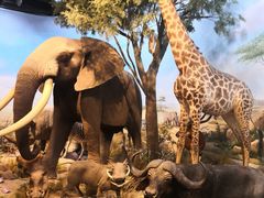 -陕西自然博物馆