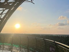 -黄海国家森林公园